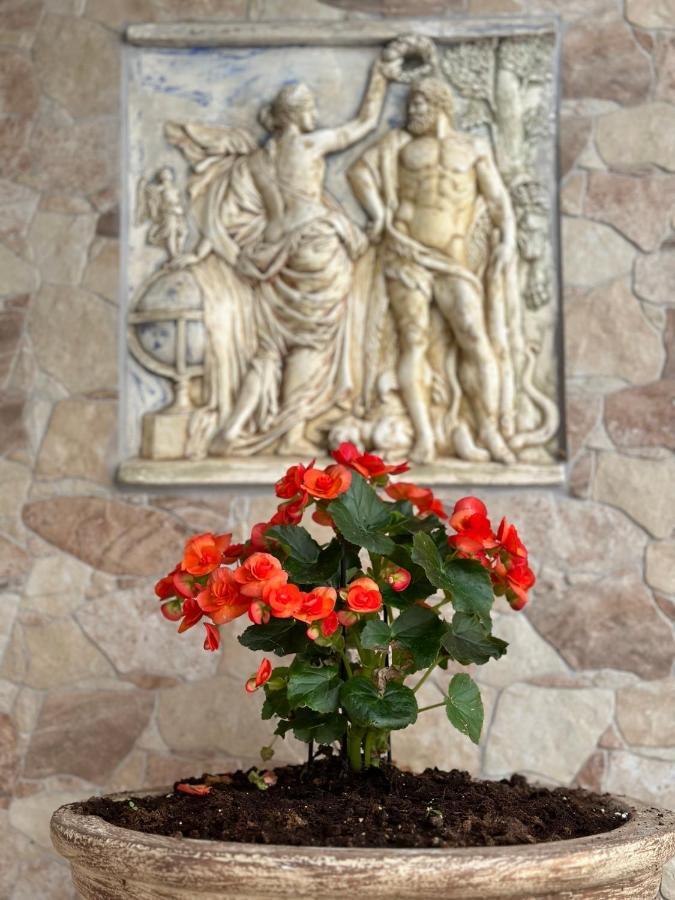 The Odyssey Holiday Home - Agios Ioannis, Pelion Agios Ioannis  エクステリア 写真